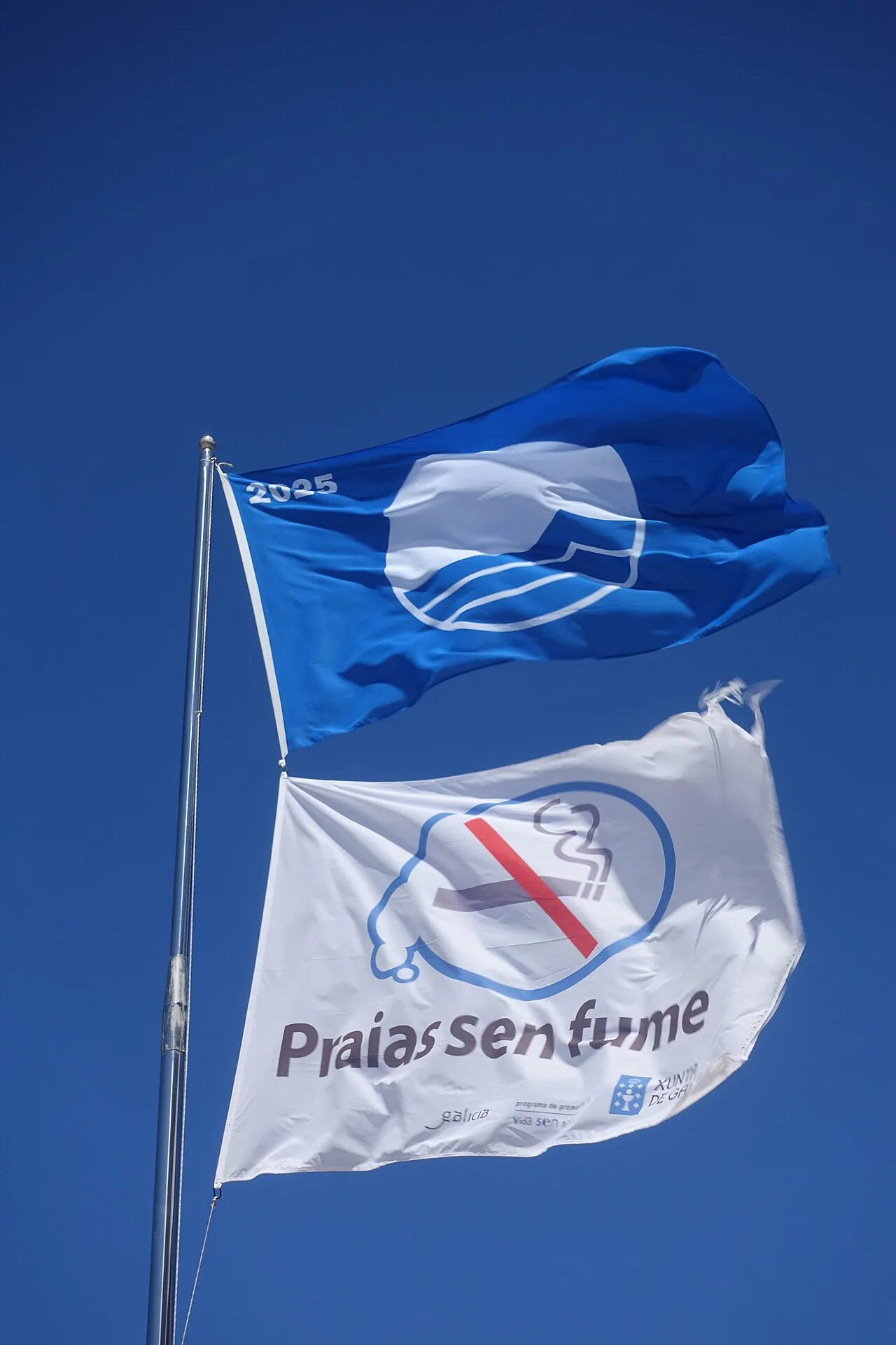 Blauwe vlag (Bandera Azul) wapperend aan een strandmast