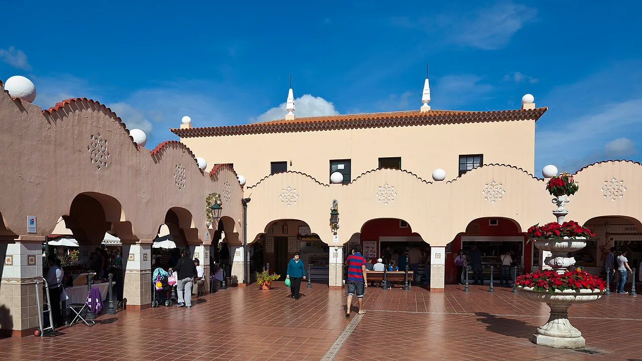 Binnenmarkt van het Mercado de Nuestra Senora de Africa in Santa Cruz de Tenerife met kramen en koepel